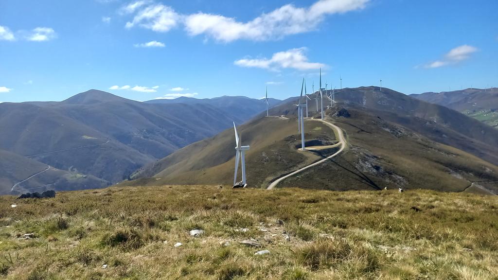 En el paisaje del occidente asturiano sobran aerogeneradores y faltan árboles en estas sierras, arrasadas por los incendios una y otra vez.