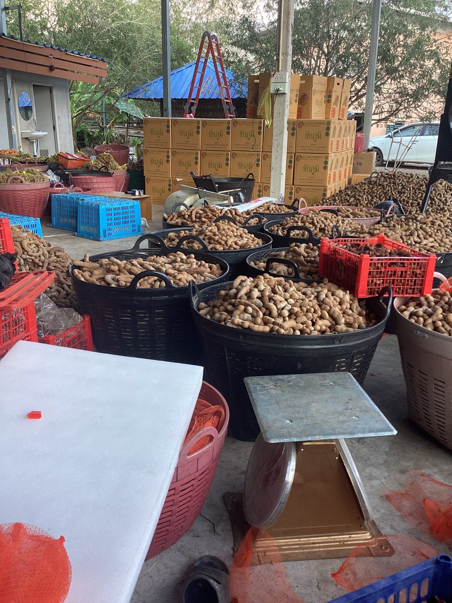 Schuett ’s Noël tweet media