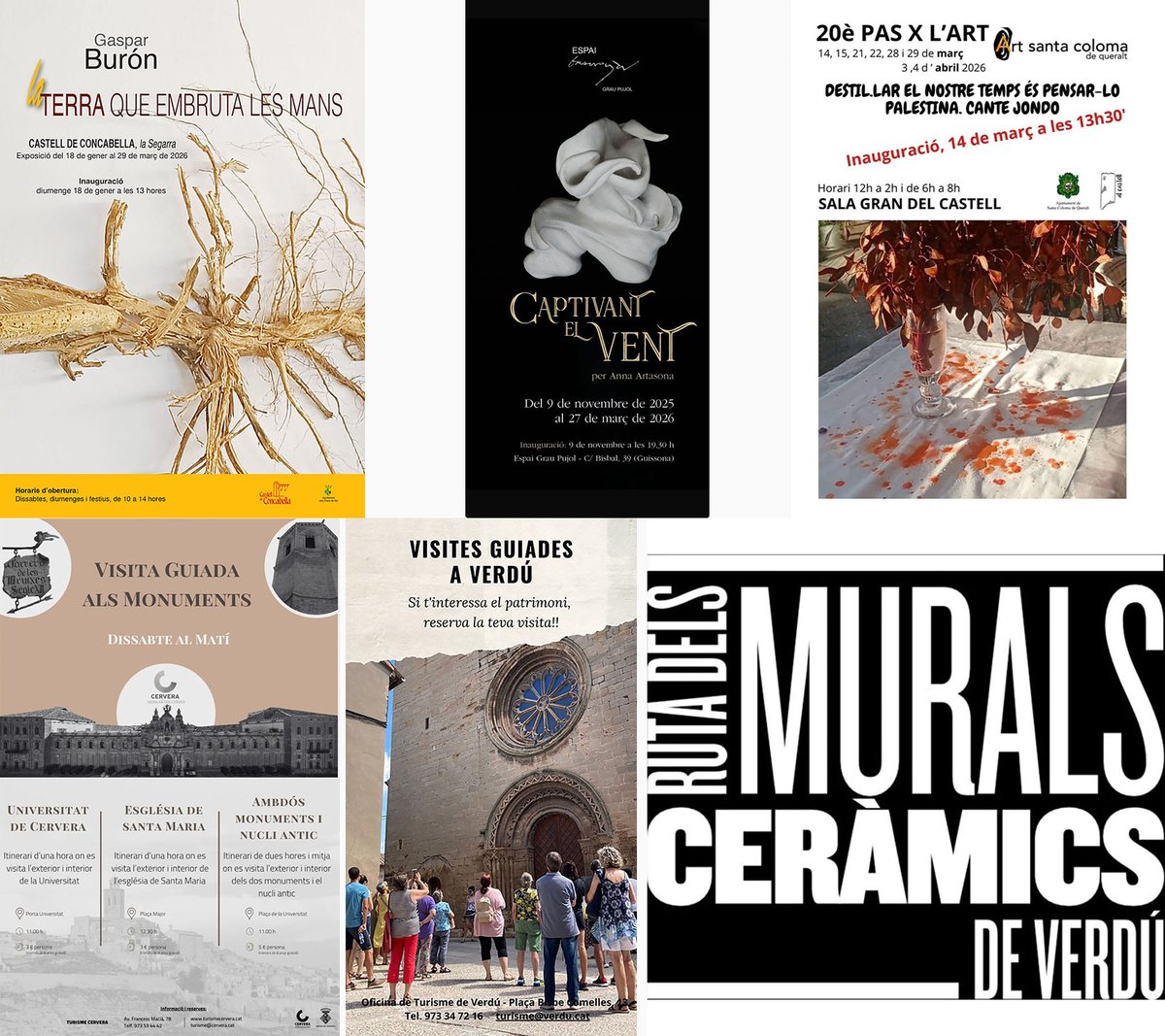 Som Segarra tweet media