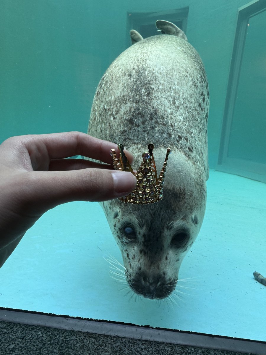 bui🐈🦭 tweet media