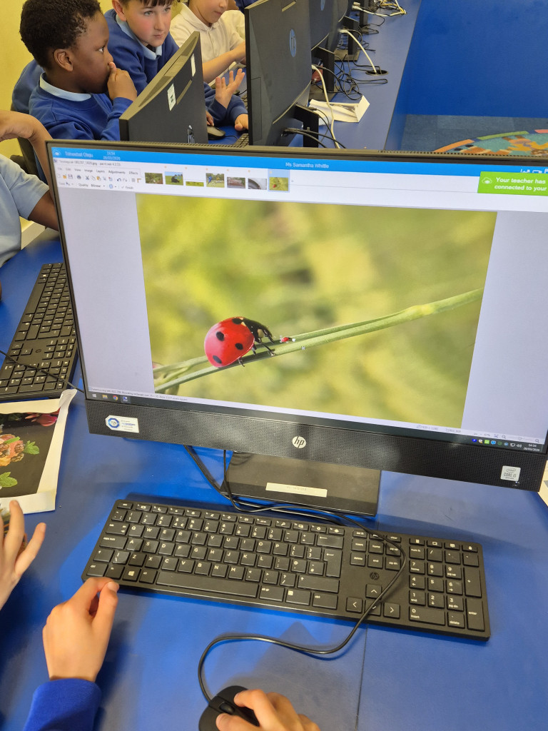 Haimo Primary School tweet media