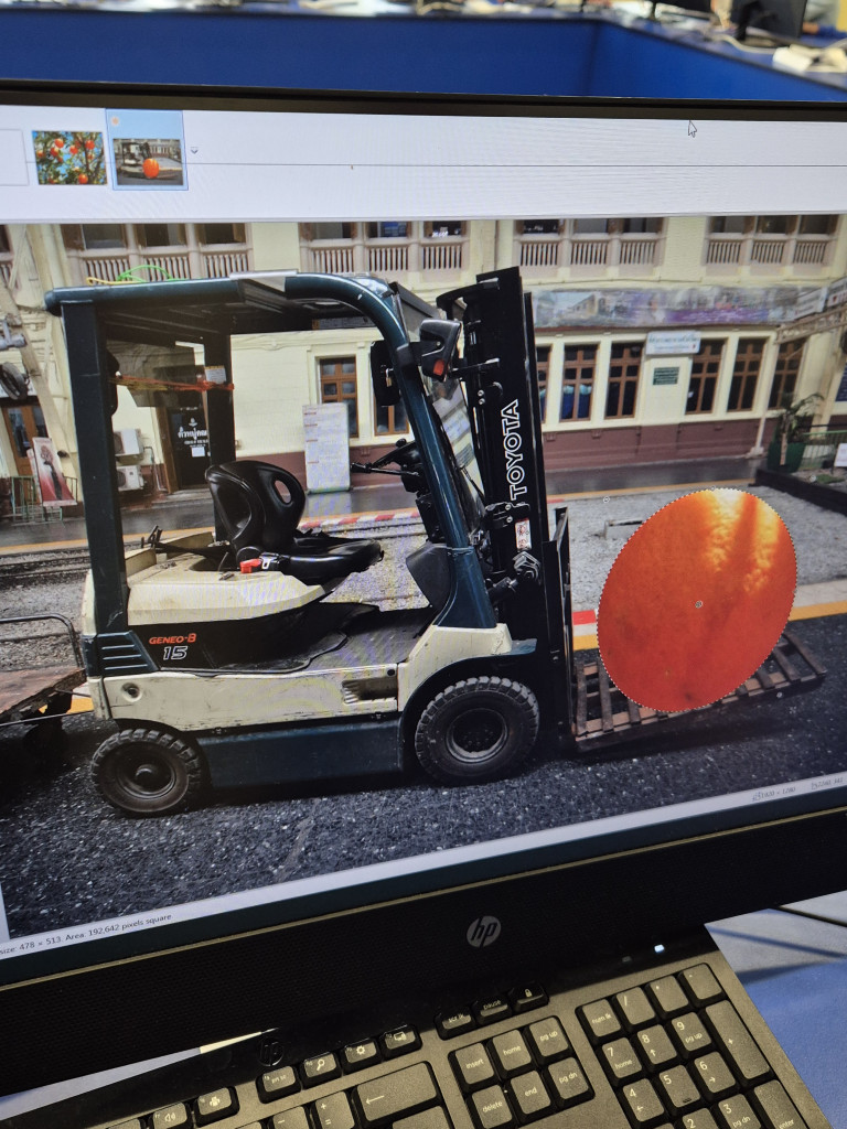 Haimo Primary School tweet media