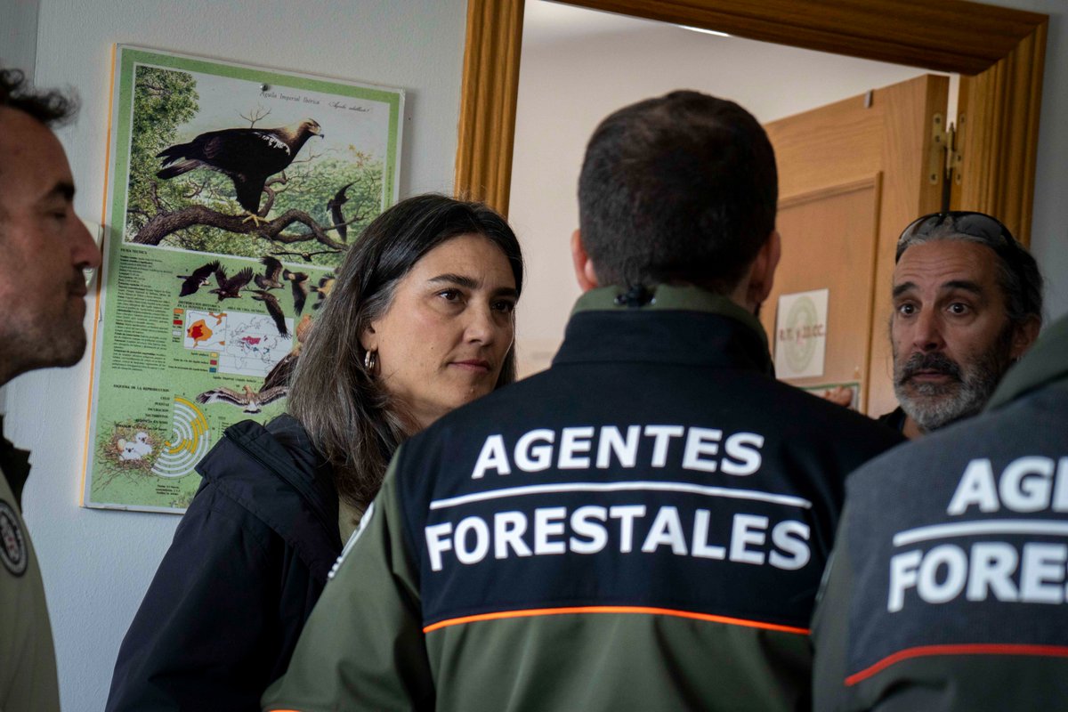 Alejandro Sanchez 🌻 tweet media