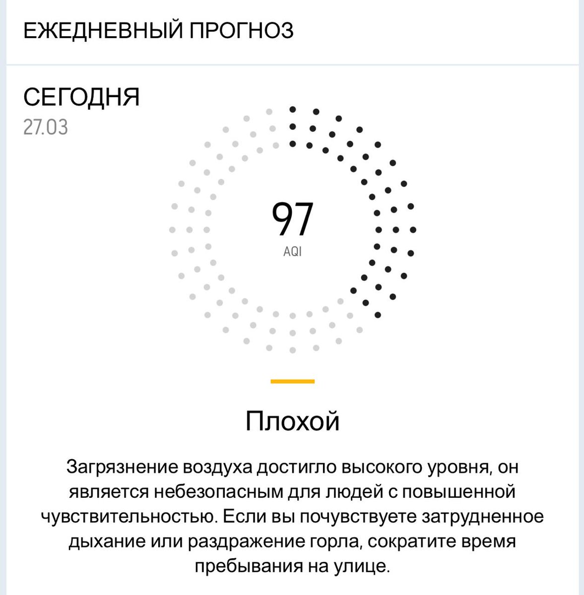 Дикий Петербург tweet media