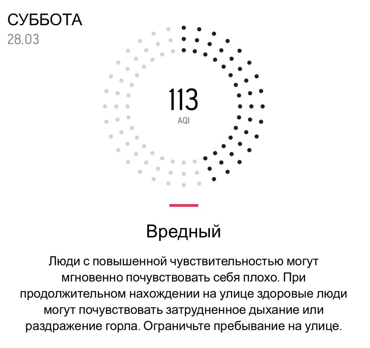 Дикий Петербург tweet media