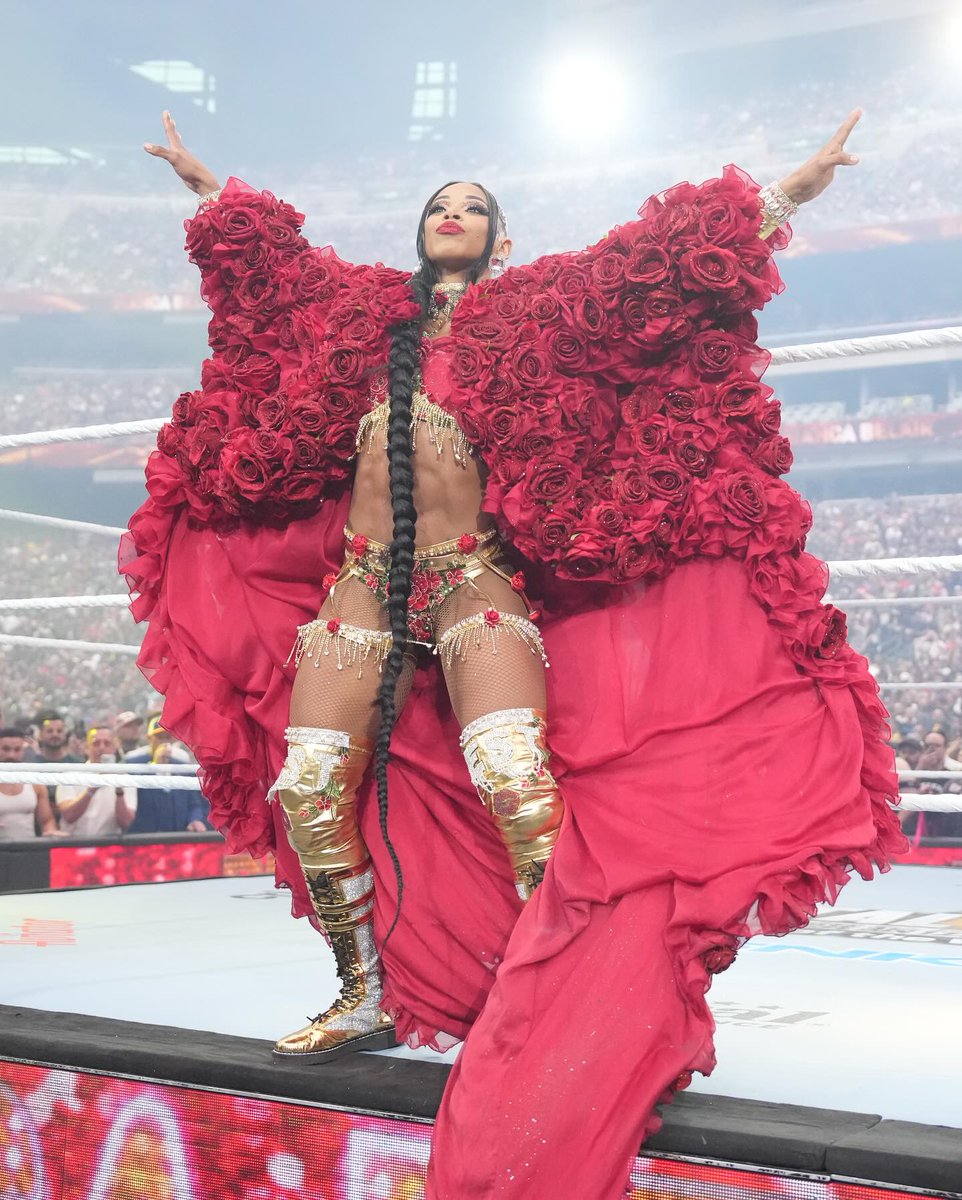 Triple H Burner Account tweet media