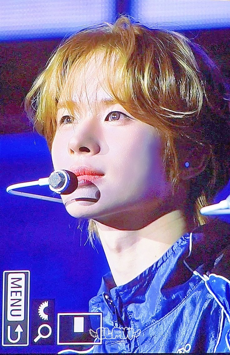 𝑬𝒍𝒇𝒊𝒏 tweet media