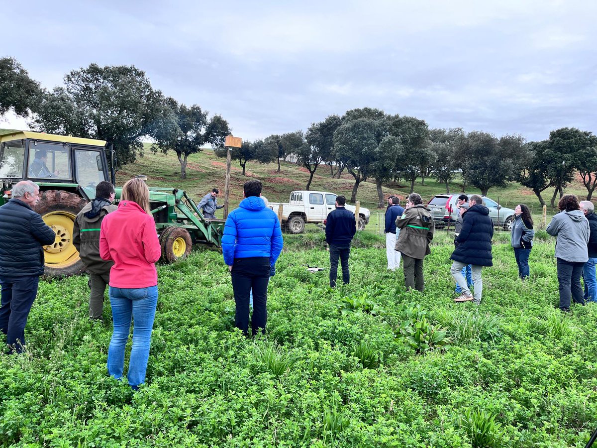 irnasa_csic's tweet photo. 🦉Hace unos días, la Finca Muñovela del #IRNASA-CSIC acogió una jornada sobre control del topillo campesino mediante depredadores. Este evento forma parte del proyecto europeo #OHFINE y contó con la colaboración de @GREFA_Fauna. #ControlBiológico
🔗https://t.co/RyRQ2F9lLe https://t.co/AAy7zj4HYq