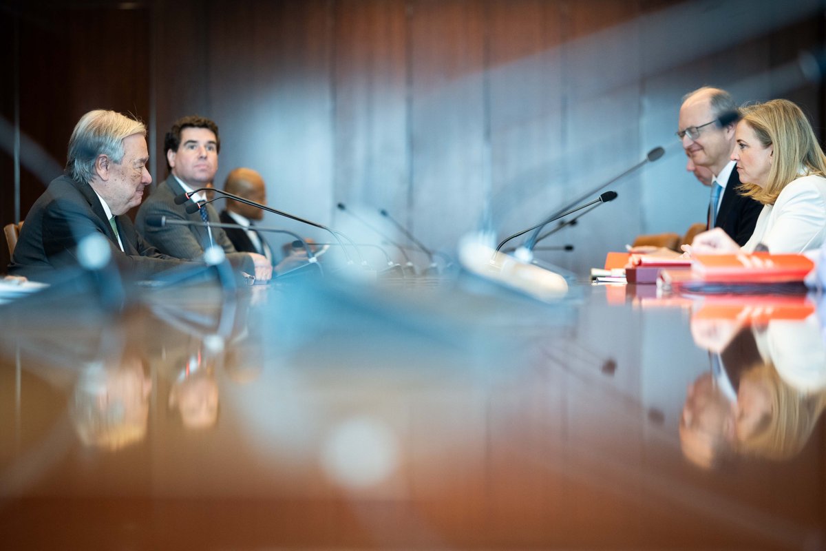 Beate Meinl-Reisinger tweet media