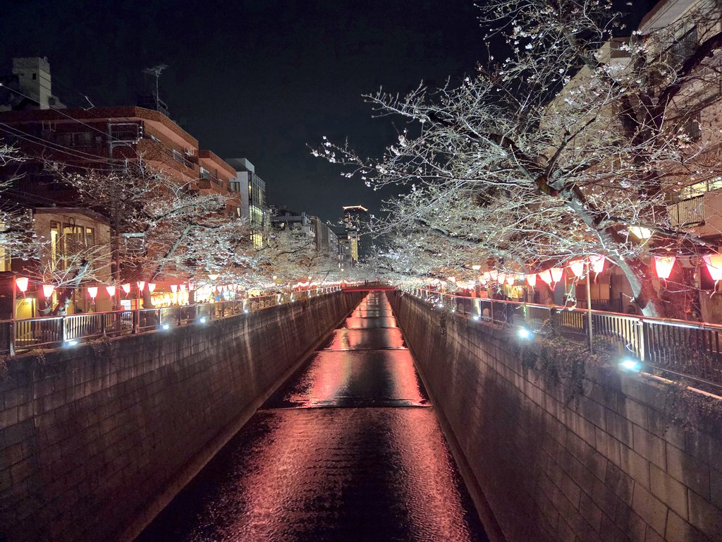 SeNtiA 【てぃあ tweet media