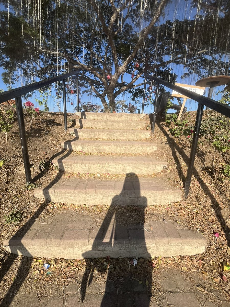 Coffee ☕️ tweet media