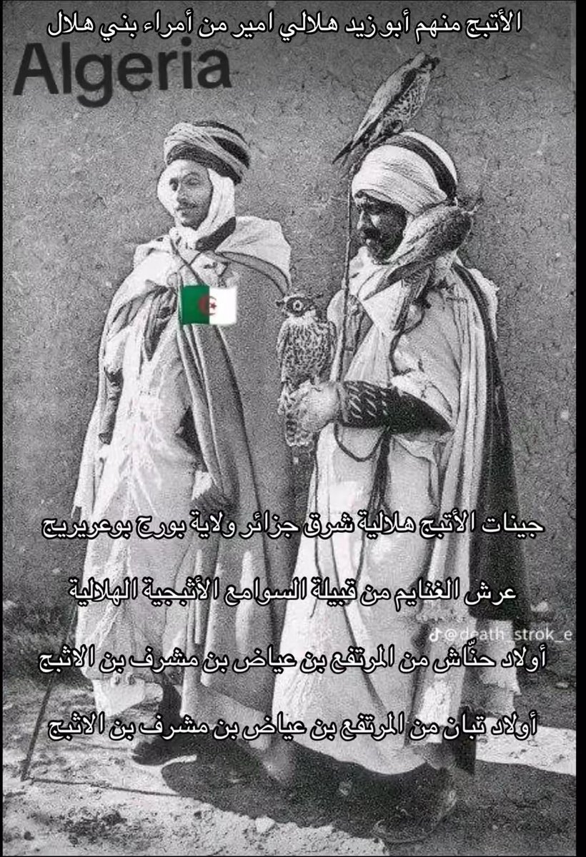 العامري هلالي جزائري tweet media