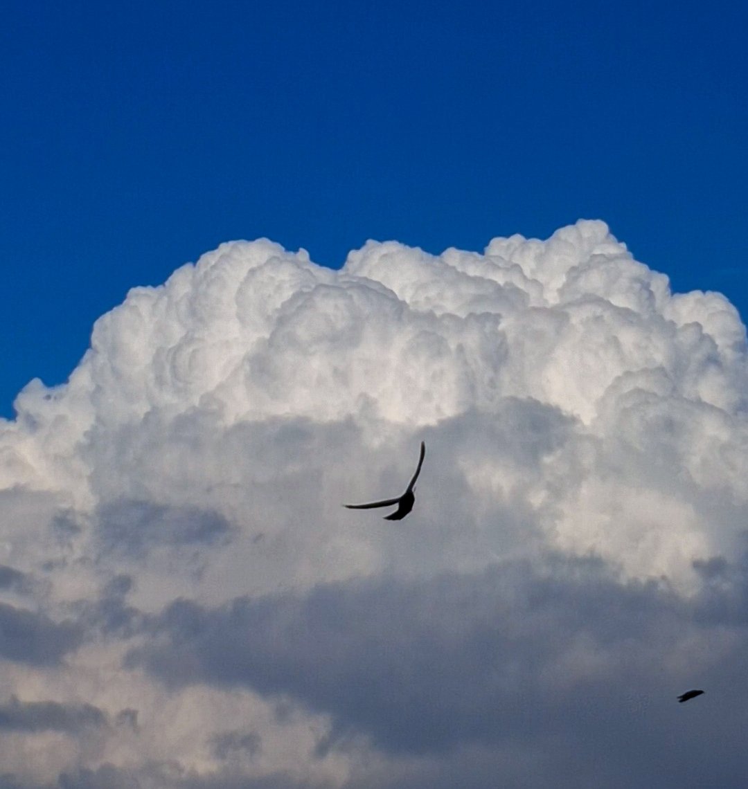 آلاء🪷𓂆. tweet media