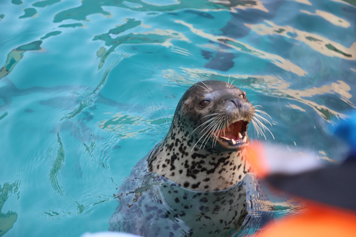 bui🐈🦭 tweet media