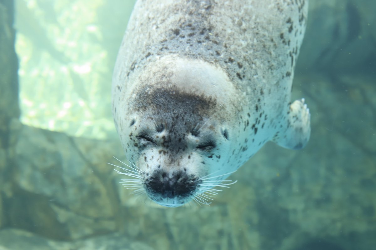 bui🐈🦭 tweet media