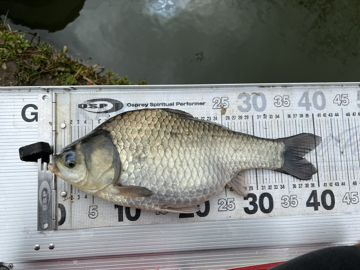 北田 朋也 tweet media