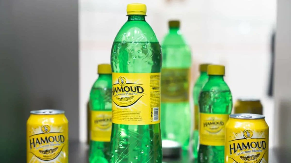 IsmLM🇩🇿🇵🇸 tweet media