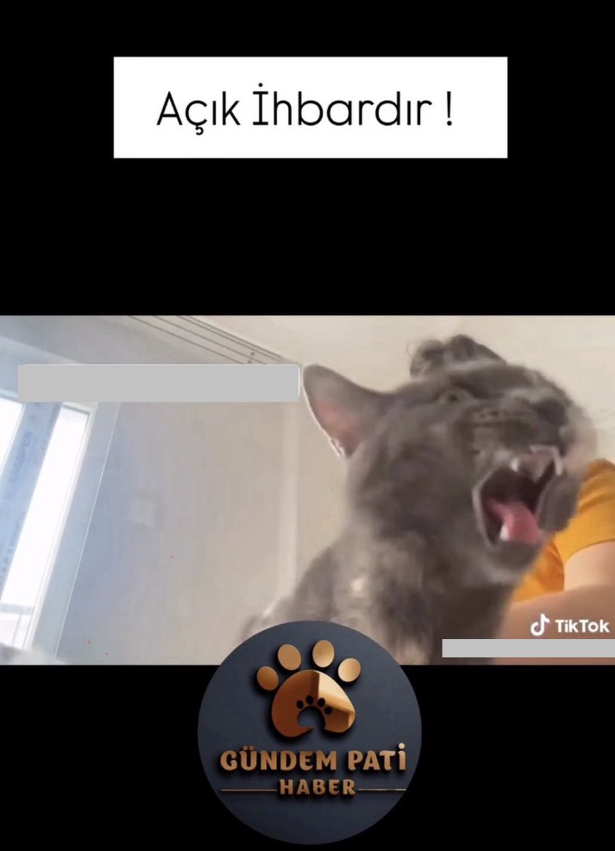 Dilek ENGİN tweet media