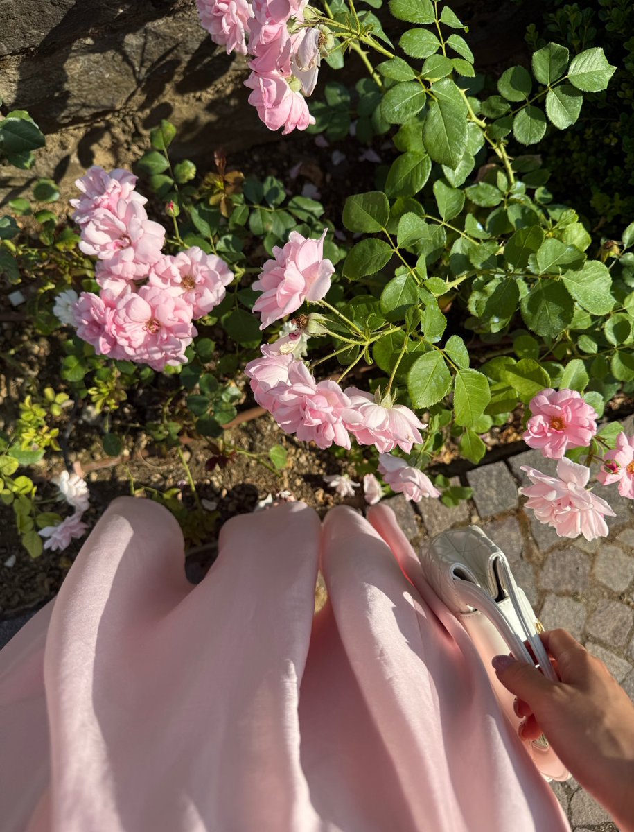 Dom Loiacono tweet media