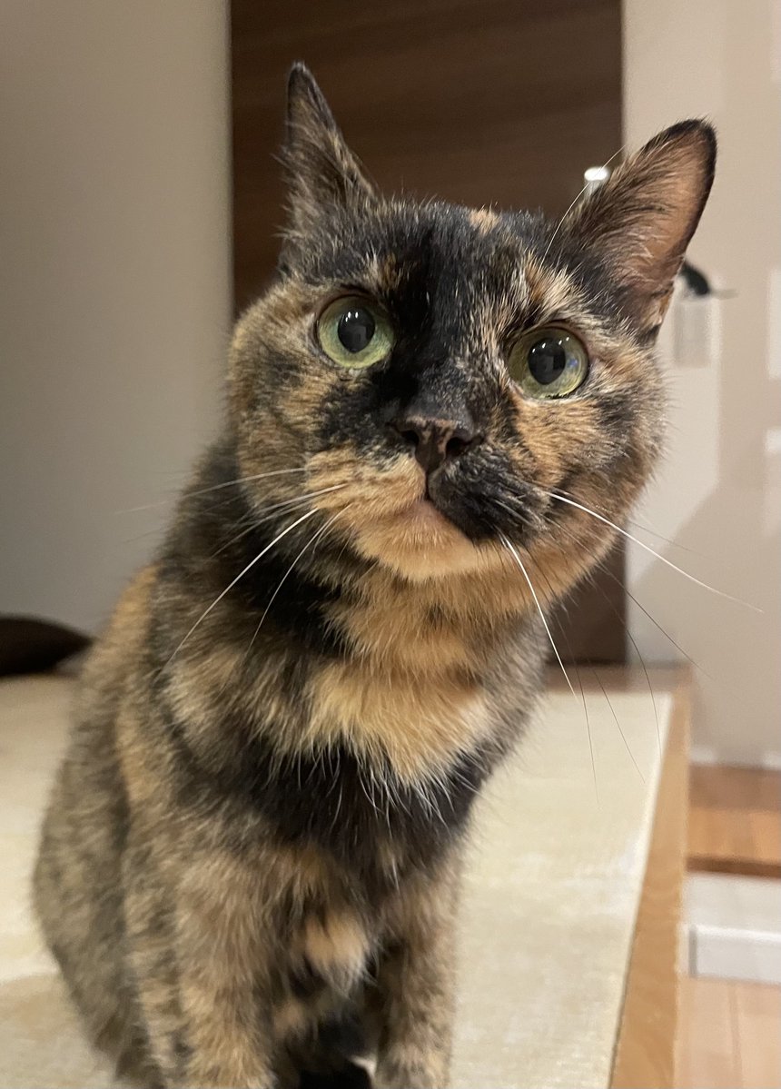 いっちゃん tweet media