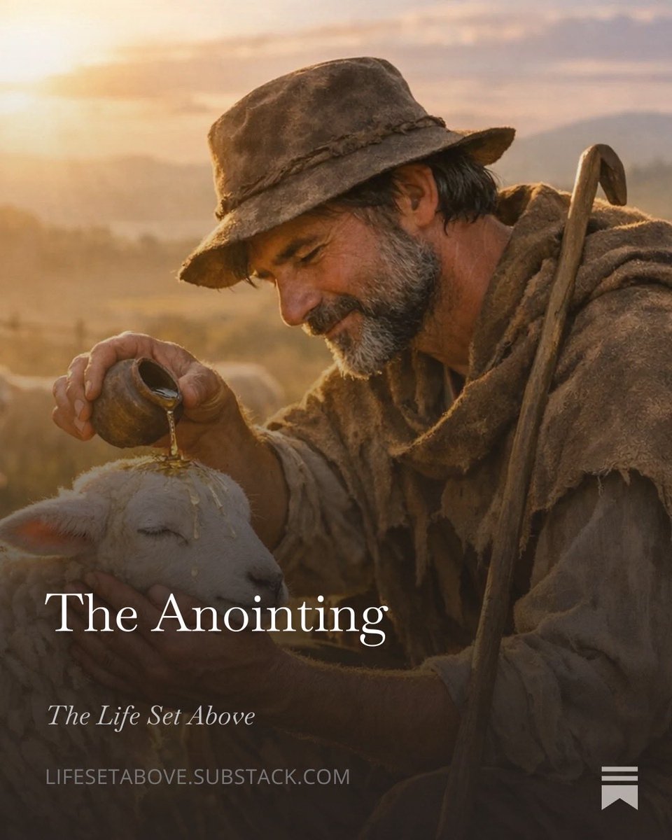 open.substack.com/pub/lifesetabo…