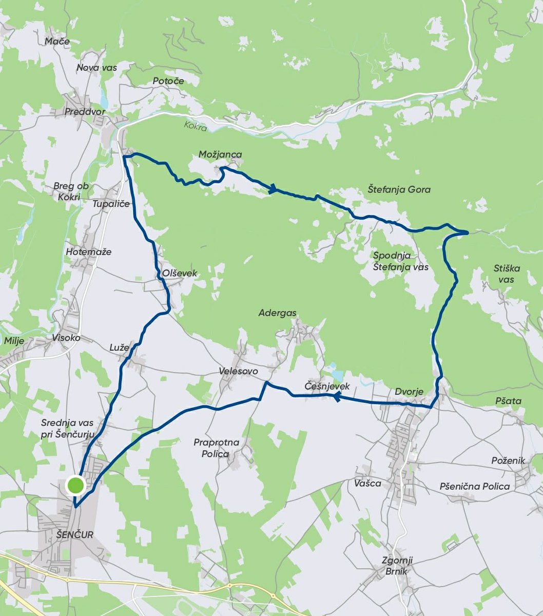 Toni Gruden tweet media