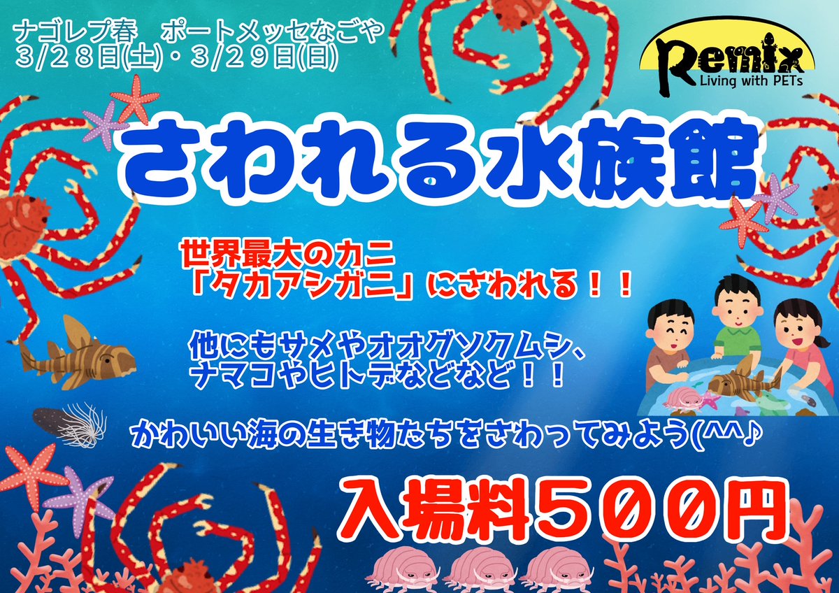 マリン@リミックスインター店 tweet media