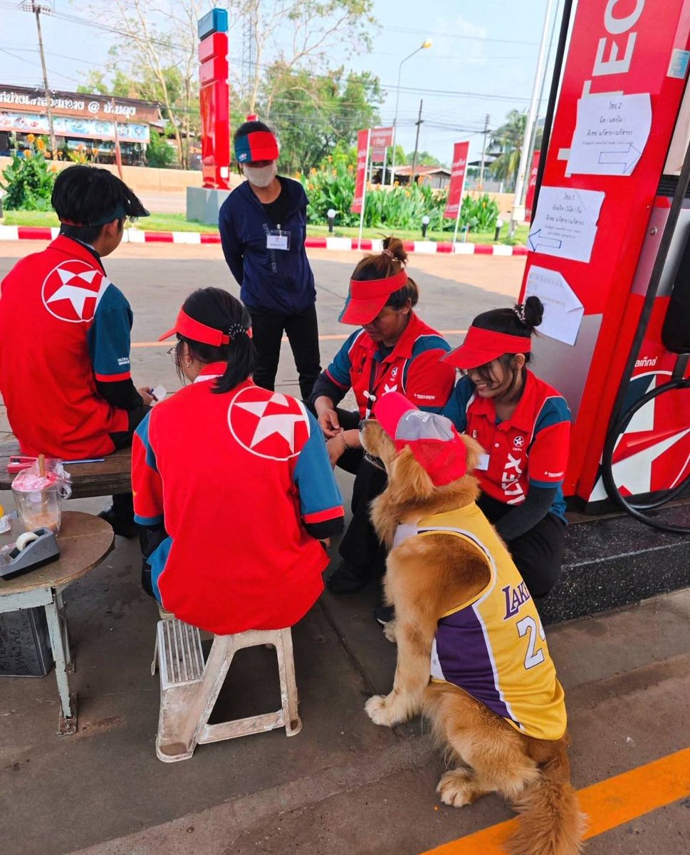 posie ꫂ ၴႅ tweet media