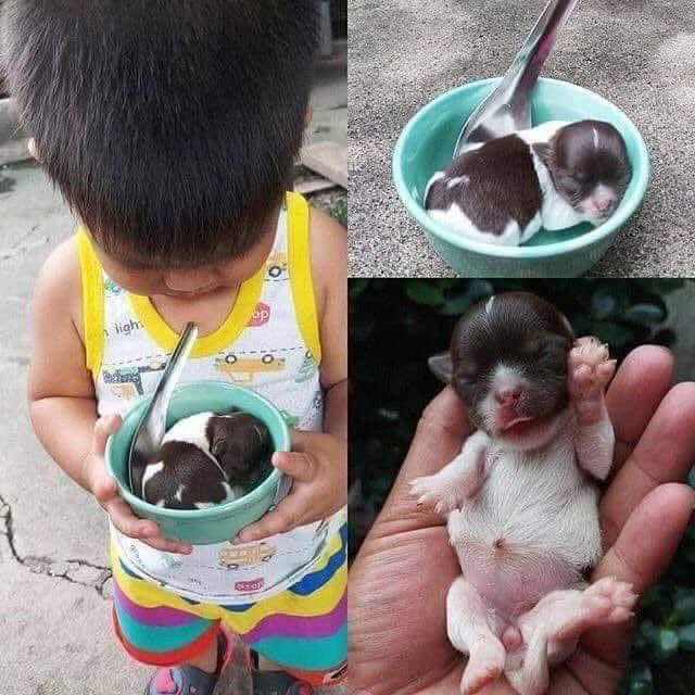 🇹🇭Bossanova🇹🇭 tweet media