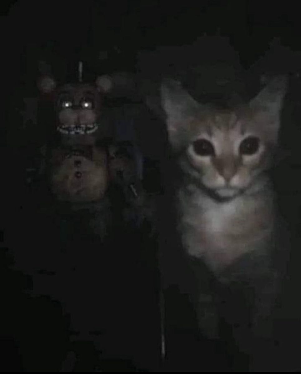 Mousy ! 🍬 tweet media