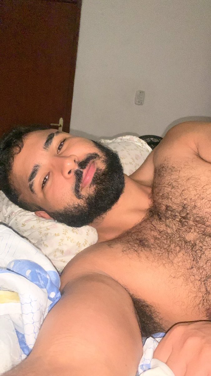 Little Bear Reborn tweet media