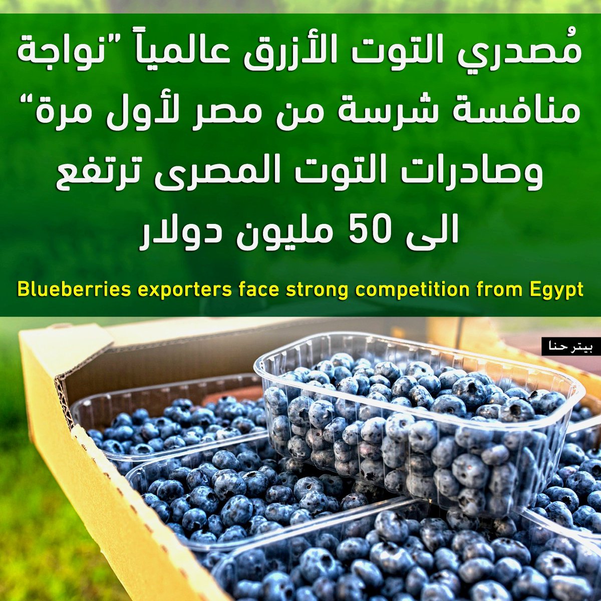 Peter Hanna - بيتر حنا tweet media