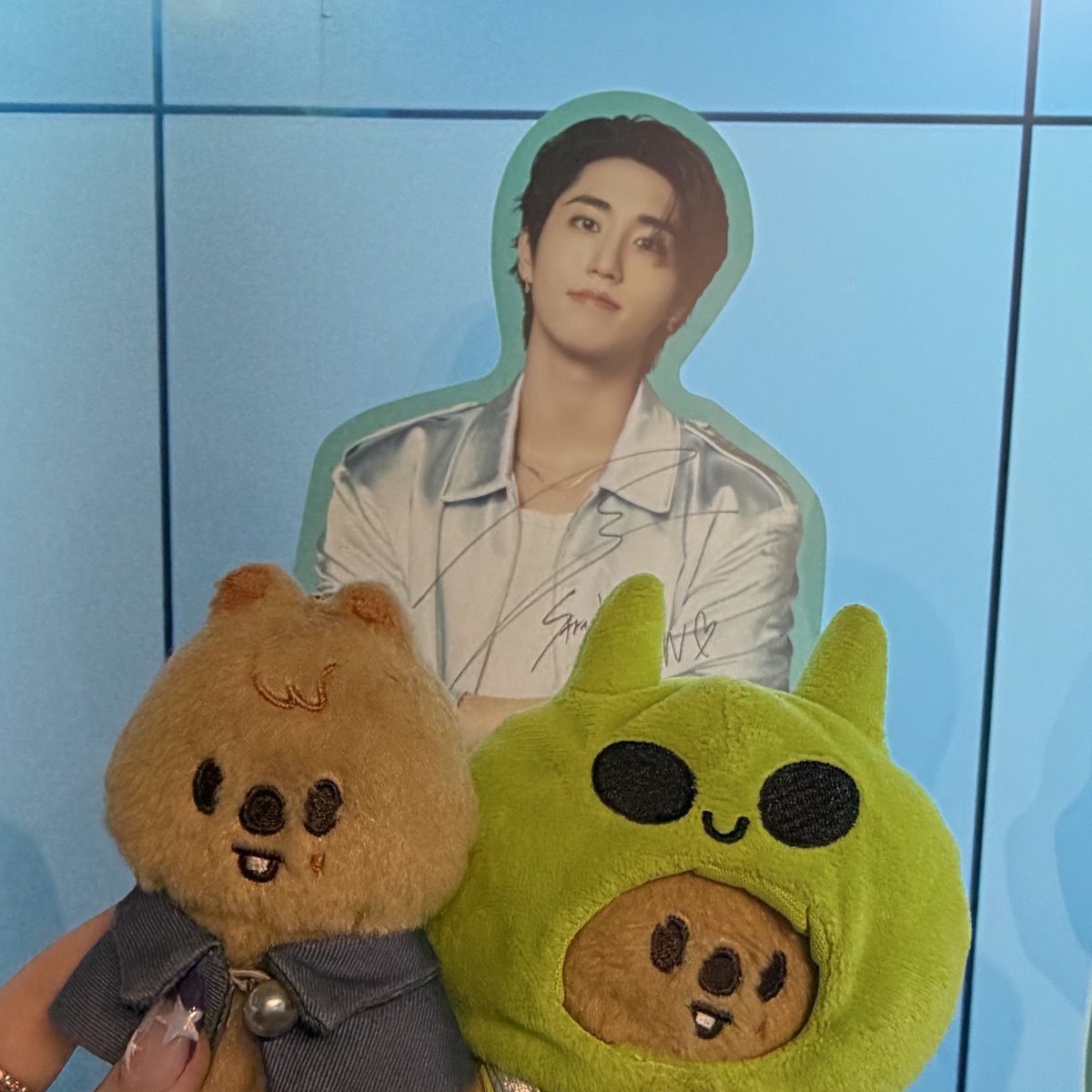 🛸🐹 tweet media