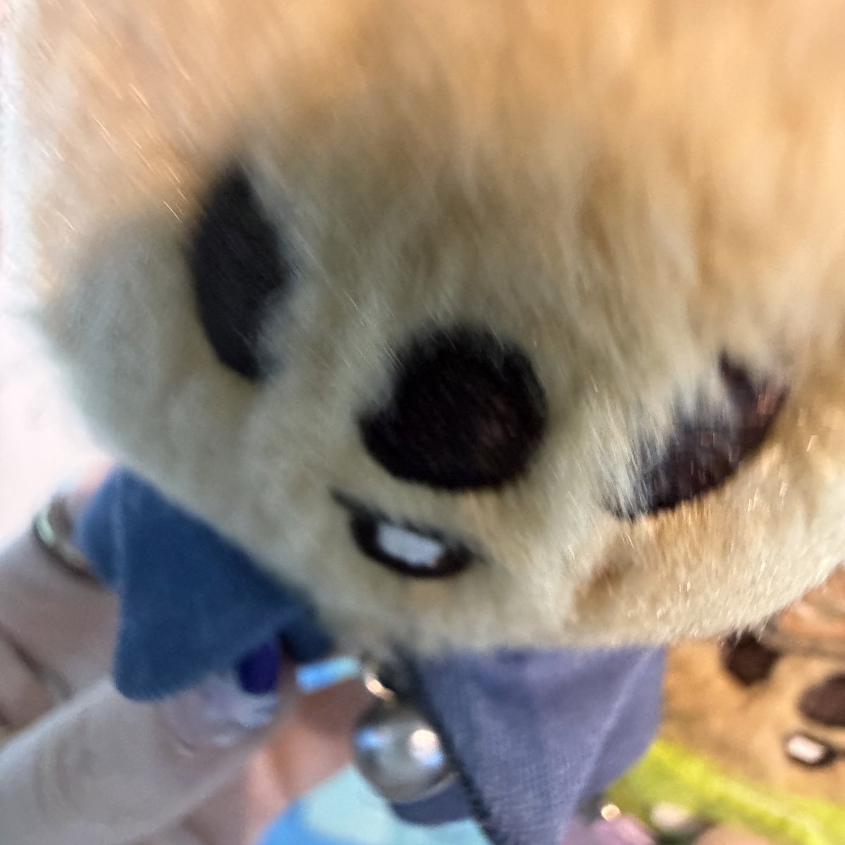 🛸🐹 tweet media