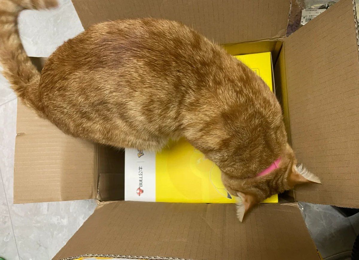 Andy Stephenson tweet media