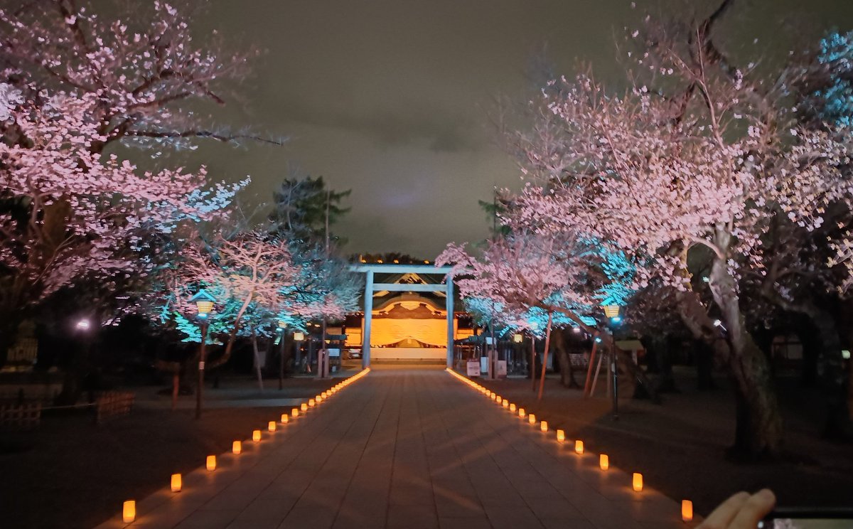 あいか tweet media