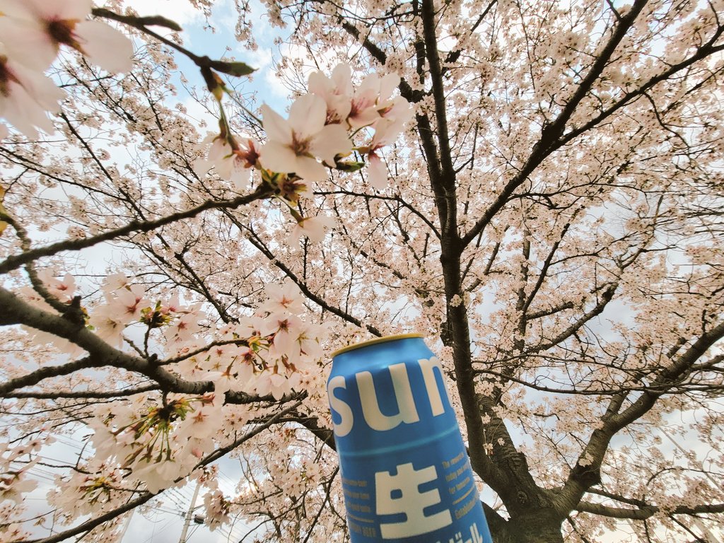 コトノハ-jokertan tweet media