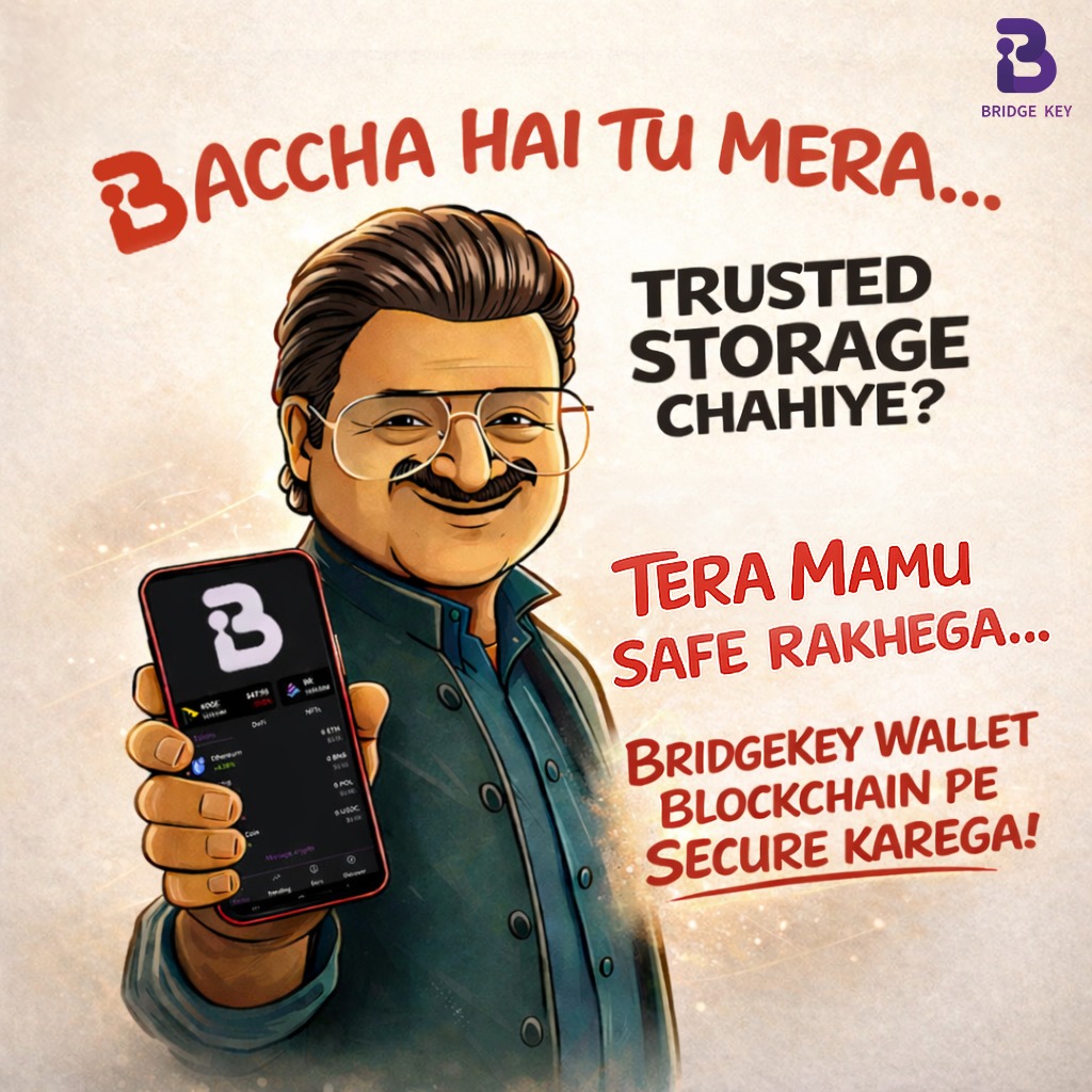 BridgeKey Wallet tweet media