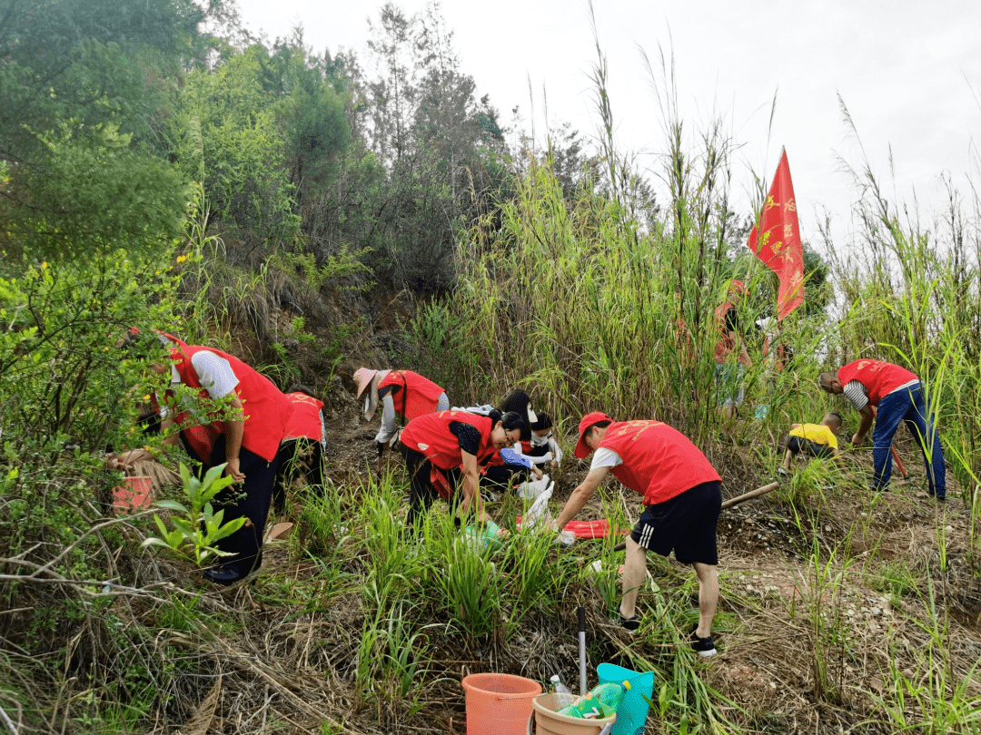 Tracy Dorgan tweet media