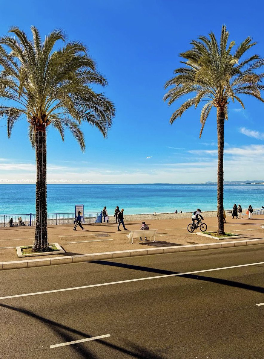 Alexandra BORCHIO FONTIMP tweet media