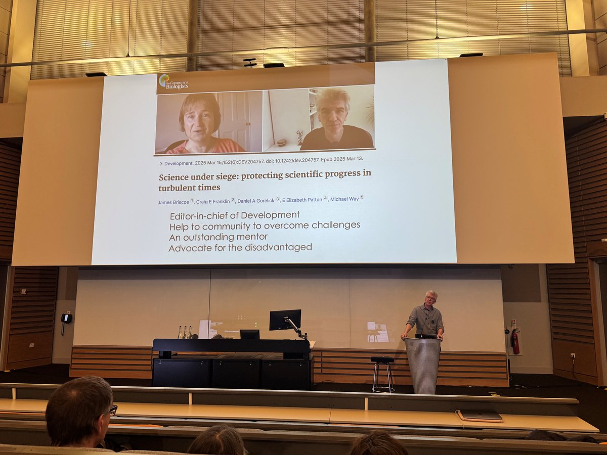 Development tweet media