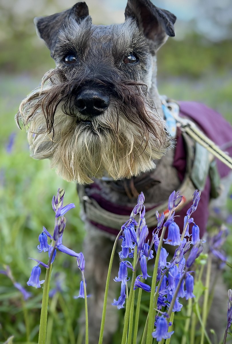 𝓙𝓾𝓼𝓽 𝓜𝓮 𝓐𝓷𝓭 𝓞𝓼𝓬𝓪𝓻 ♡ tweet media