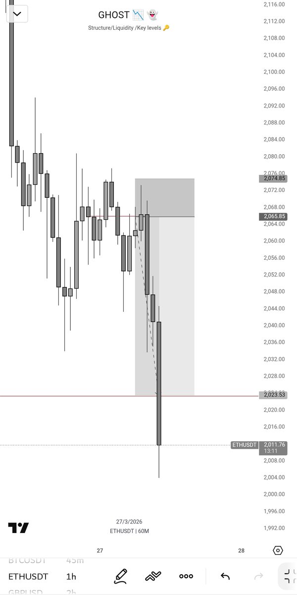 BLESSED 📉👻⭕ tweet media