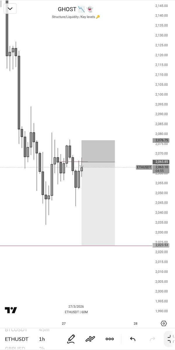 BLESSED 📉👻⭕ tweet media