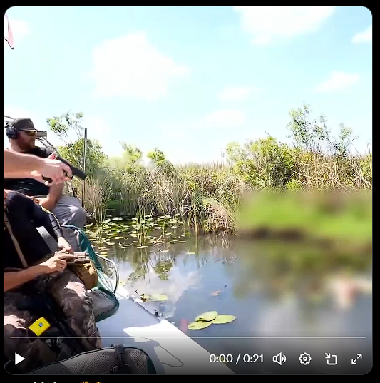 Mostly Goatly tweet media