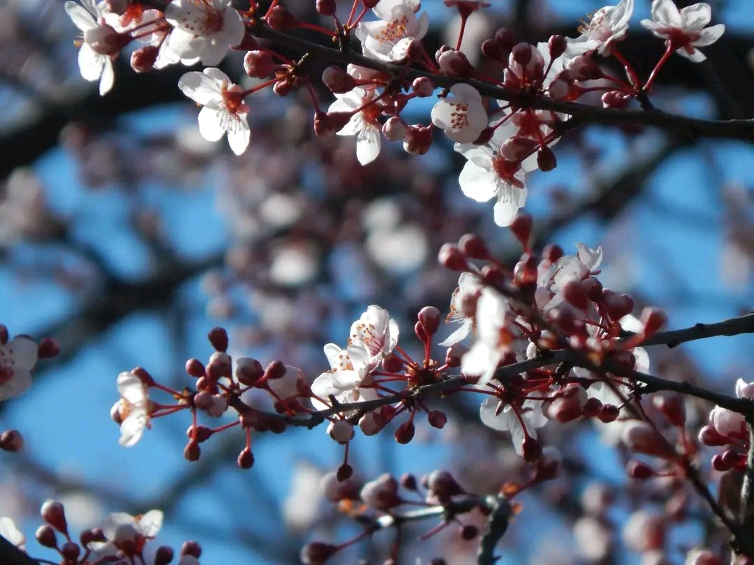 Mayko Ks. 🌞📸🇬🇪🇺🇦🇪🇺 tweet media