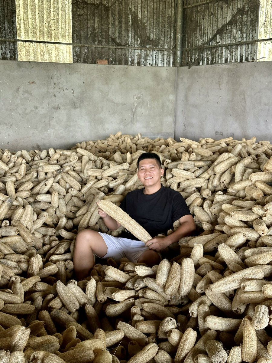 Đăng Khoa | Harry | NCC0036 tweet media