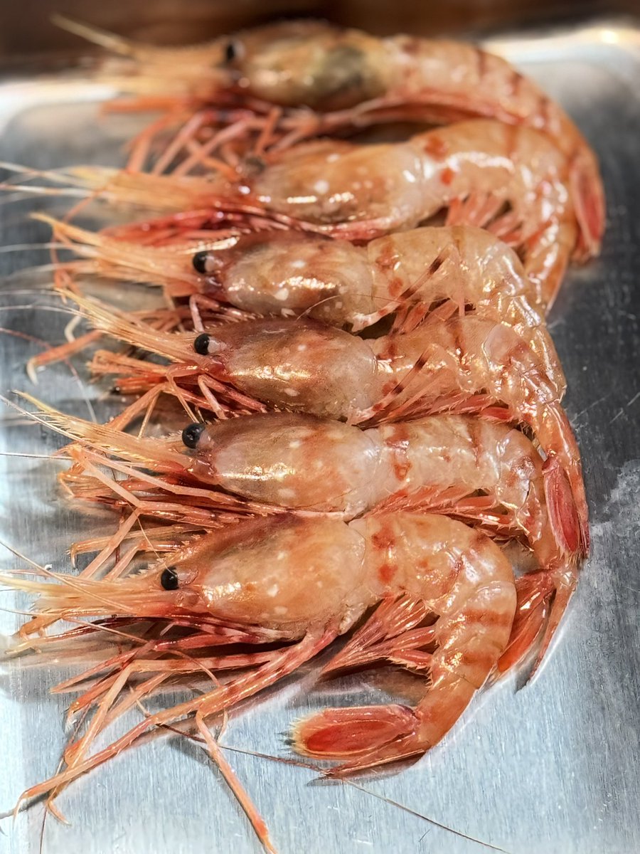 FUNA⚡︎ tweet media