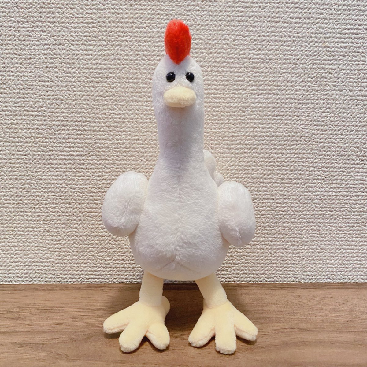 「わたしを置いていくんですか…?こんなにかわいいのに…?」とつぶらな瞳で訴えてくるからお迎えしたけど、家着いた瞬間態度でかい🐔