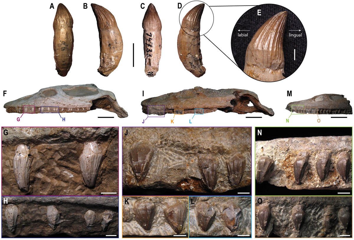 Adán Pérez García tweet media